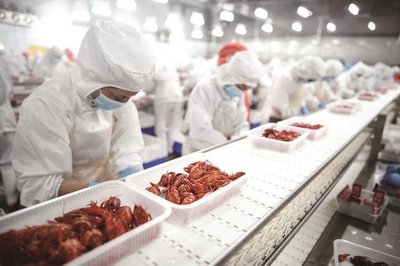 生產(chǎn)線(xiàn)上的小龍蝦預(yù)制菜